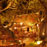 Harry's samui3