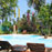 Harry's samui4